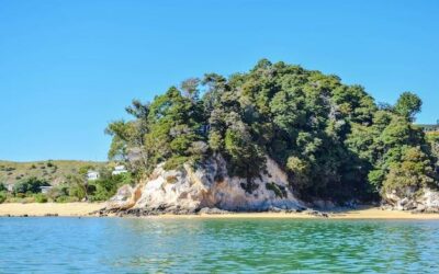 Ile zapłacisz za OC? Sprawdź czynniki wpływające na cenę polisy